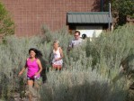 ACRR-8-2-16a